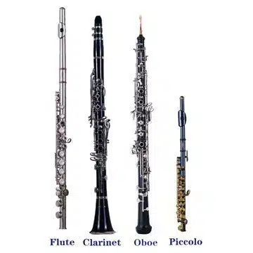 Instrumentos de viento de madera